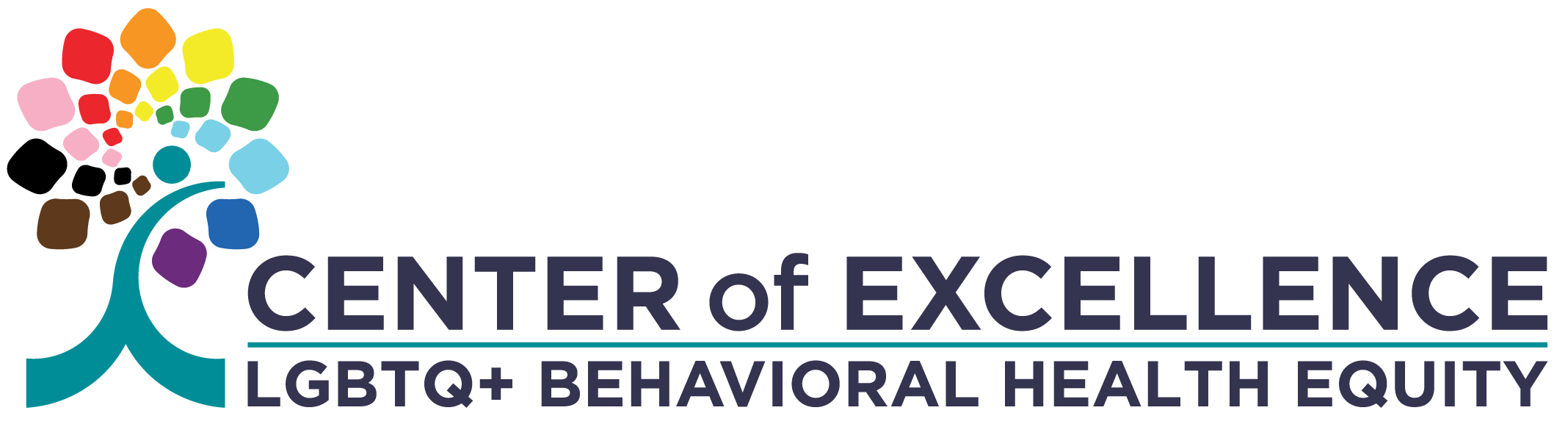 center of excellence logo