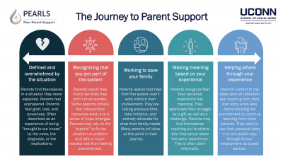 Graphic illustration of parent experience through public systems