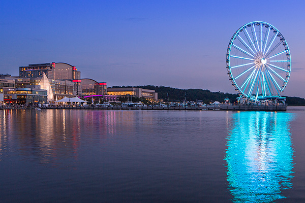 A large ferris wheel stands majestically over the water, reflecting its vibrant colors on the surface below.