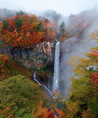 fall foliage and waterfall